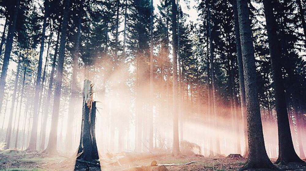 Книги о дизайне