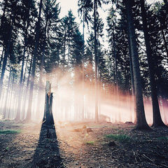 Книги о дизайне