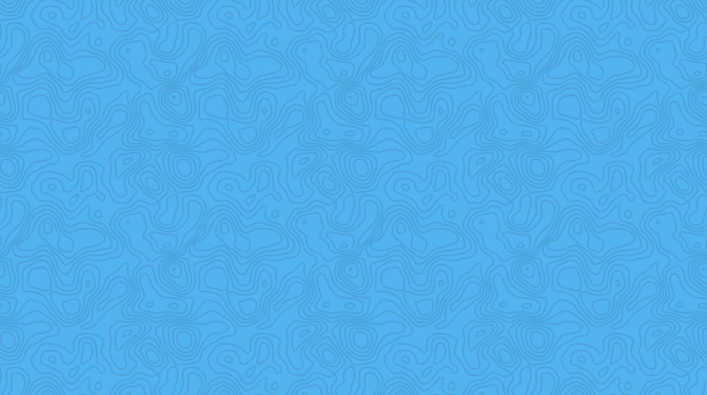 Устинова Татьяна