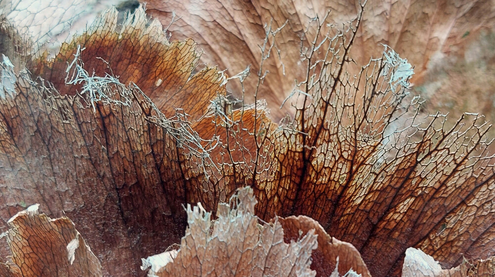 Азиатская классика