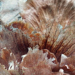 Азиатская классика