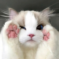 Прочитанное. Рекомендую💕