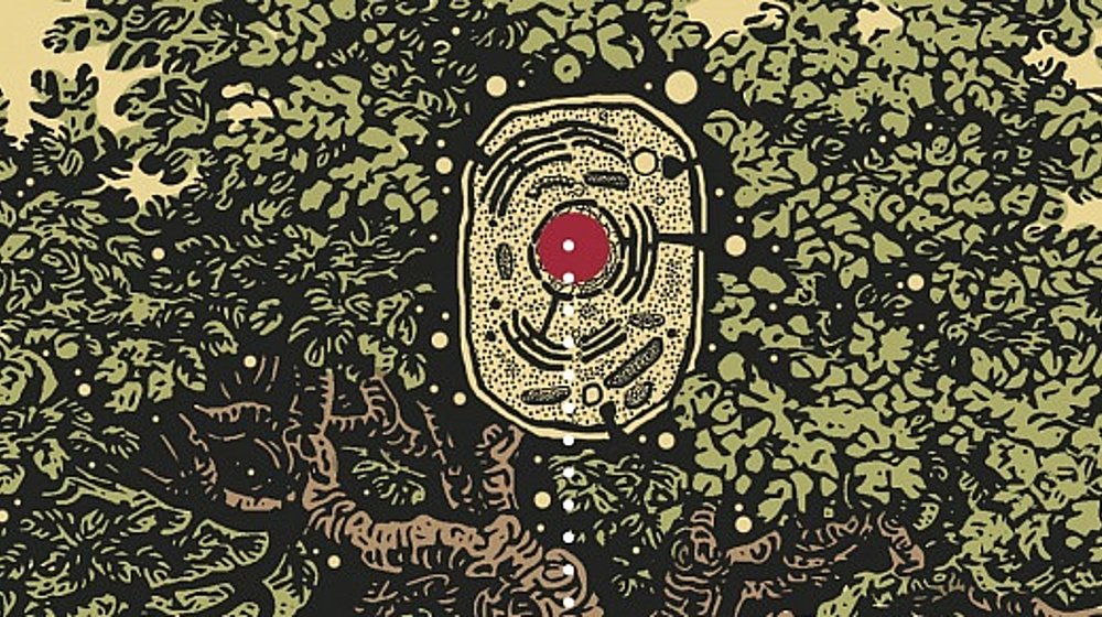 Номинанты премии "Просветитель"