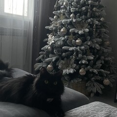 Рэй Брэдбери