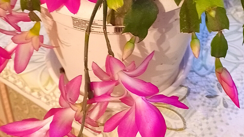 Людмила Мартова