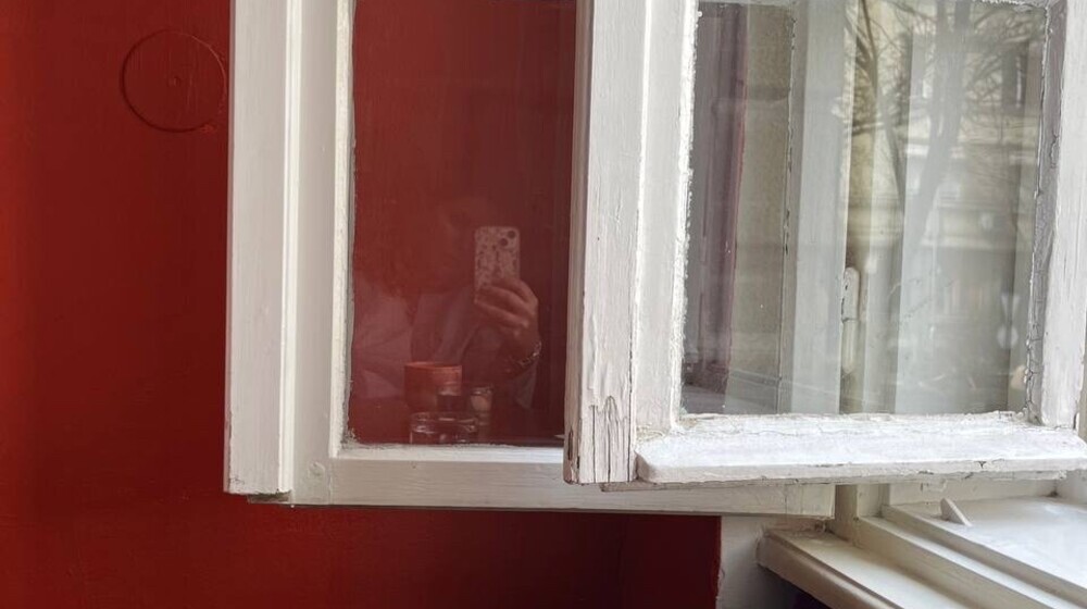 мои сербские ночи 