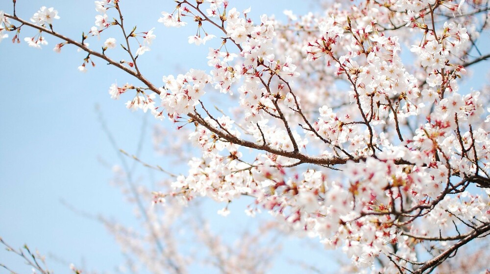 прочитано, понравились