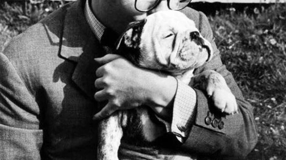 Человек против собаки