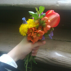 Нечистая сила