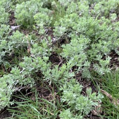 Клевые аудиосказки