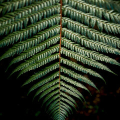 На подумать