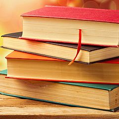 Футболка с Флобером. Классика как ключ