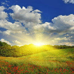 КОМУНИКАЦИИ ЧЕЛОВЕКА