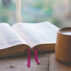 Любимые книги