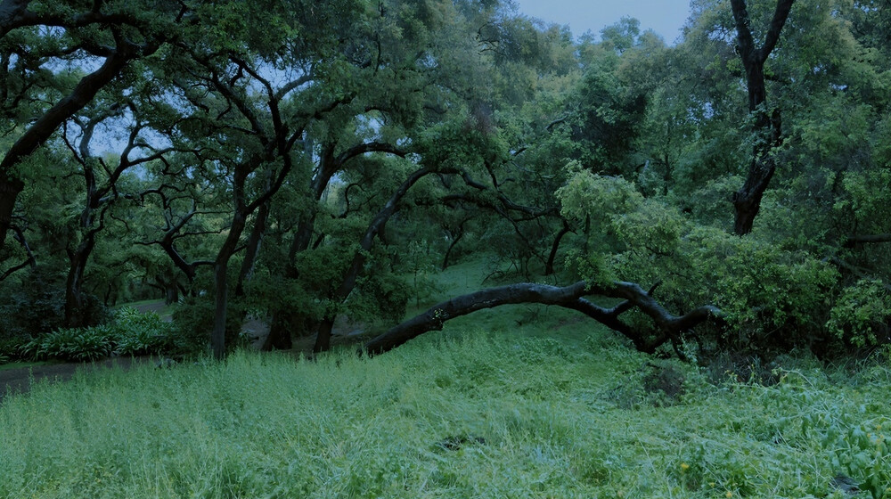 Жизнь людей
Повседневность