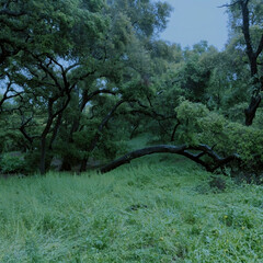 Жизнь людей
Повседневность