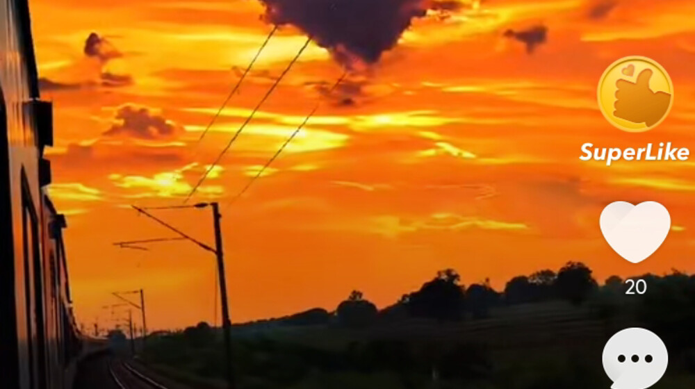 Мои любимые ❤