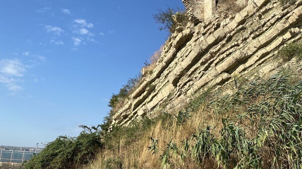 Он мне хотел сказать. Полка сложных мозгов.