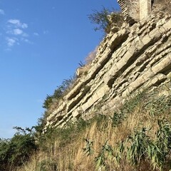 Он мне хотел сказать. Полка сложных мозгов.