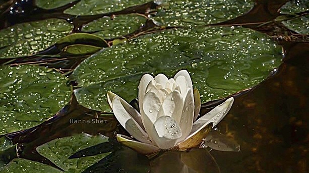 Интересно узнать