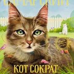 Кот Сократ❤️‍🔥❤️‍🔥❤️‍🔥❤️‍🔥❤️‍🔥