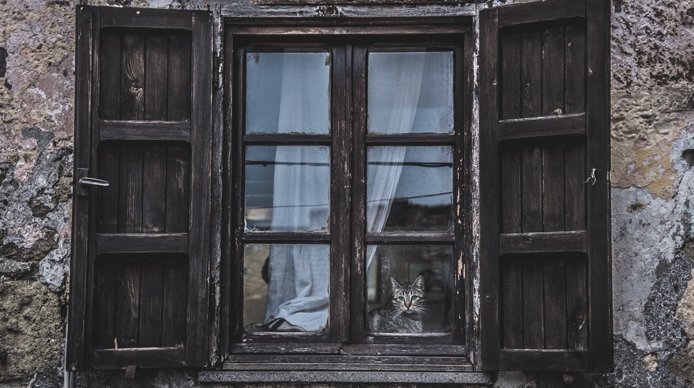 Что теперь читать? Советуют издатели