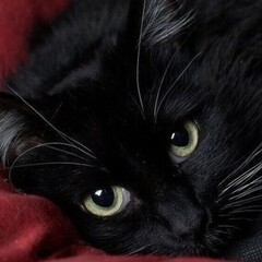 Романтика ❤️‍🔥