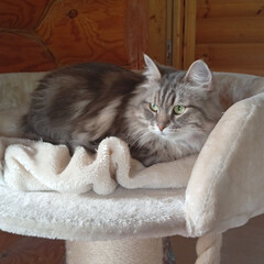 Интересные книги/комиксы