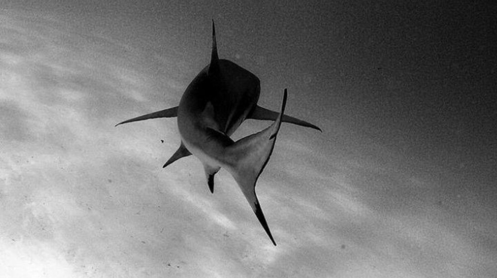 Психология