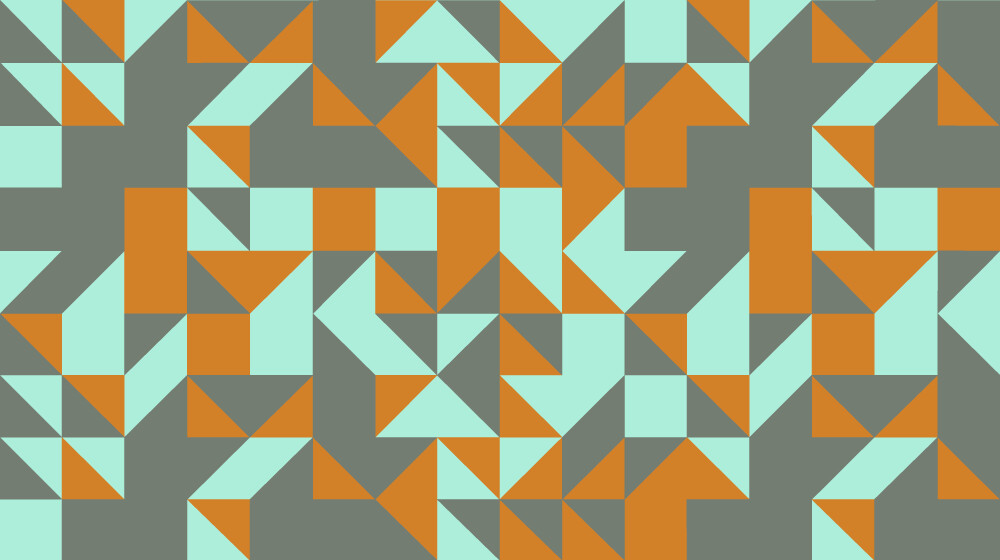 Анна Шаенская