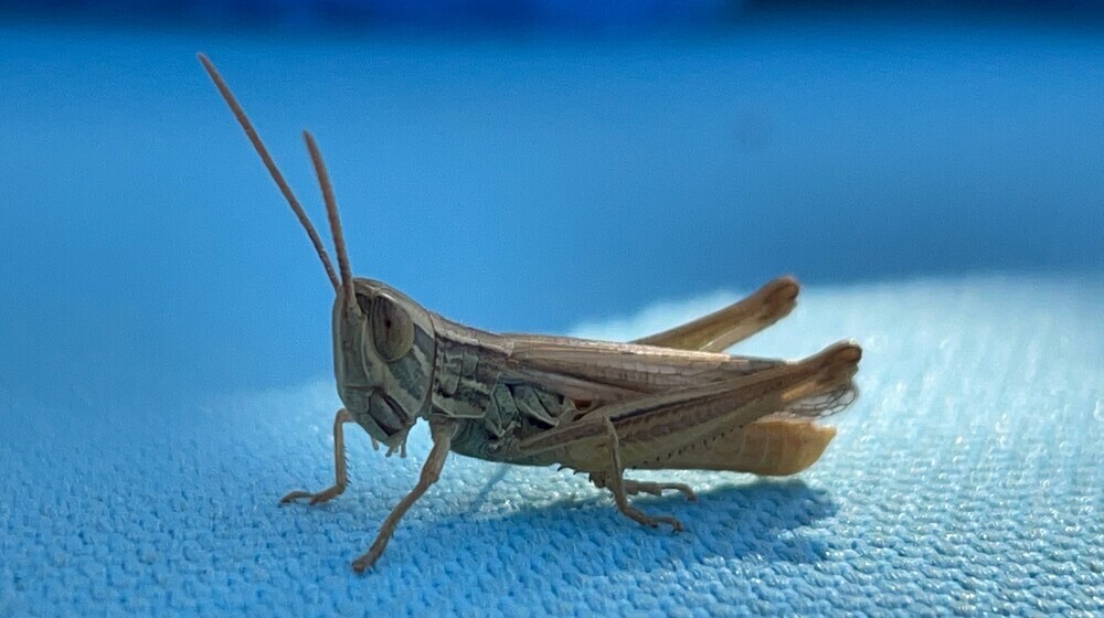 Книги для детей