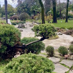 Медитации 🧘🏽‍♀️🙏🏽🪔