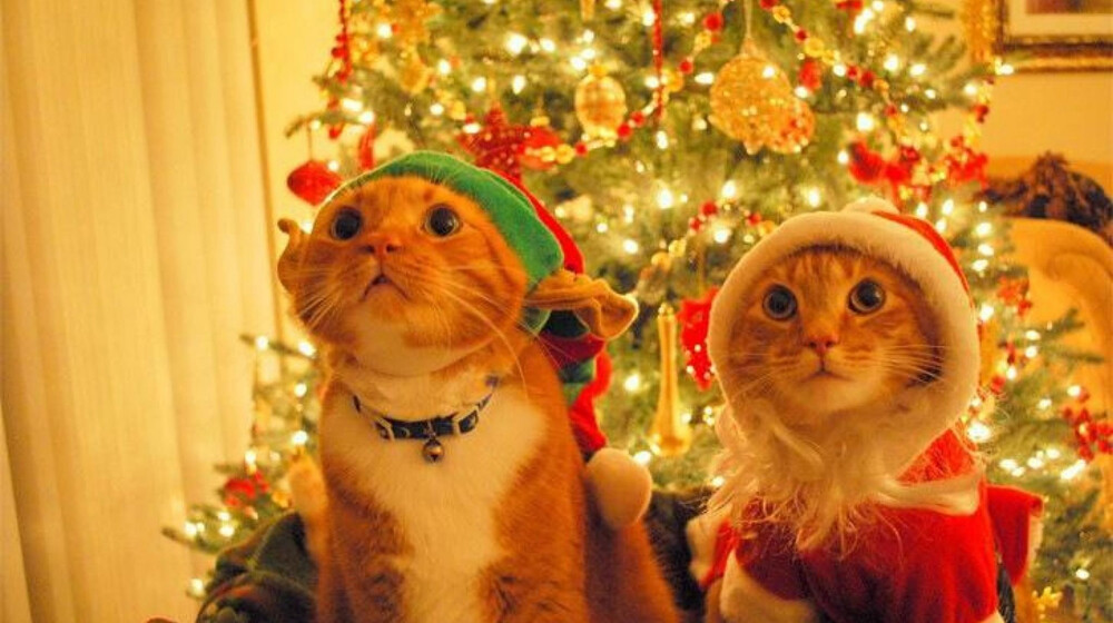 Список для чтения 
2025