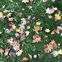 Янг эдалт: прочитано