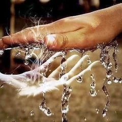 Семейные саги