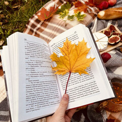 Осень и Хэллоуин 🎃