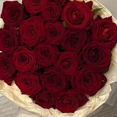 Художественная литература 