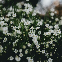 О красоте природы