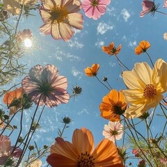 Очаровательные дамы🫶🏻