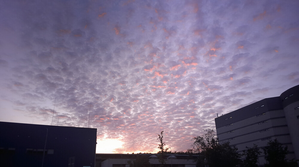 Метеора 🩷🖤🩷❤️🩷🖤🩷👍🐙🦐🖤🙂‍↔️🦐😜😜🤓🤓🤓