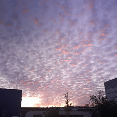 Метеора 🩷🖤🩷❤️🩷🖤🩷👍🐙🦐🖤🙂‍↔️🦐😜😜🤓🤓🤓