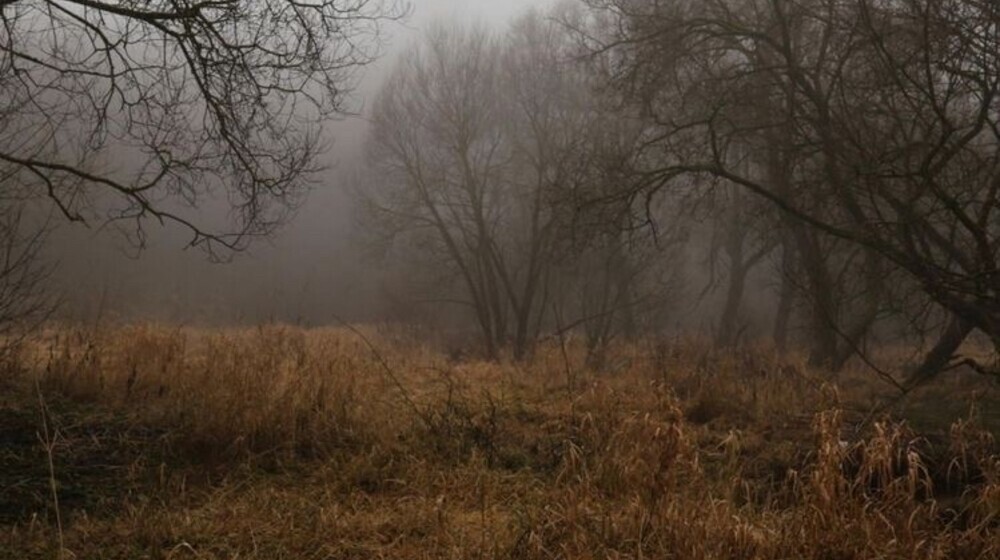 Осеннее настроение 