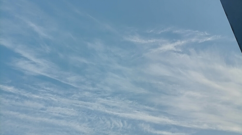 Психология
Планирование, выход из конфликтов, привычки