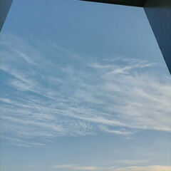 Психология
Планирование, выход из конфликтов, привычки