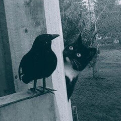 Тренировки