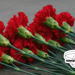 Герои науки