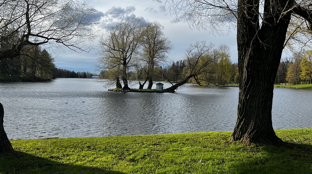 Художественная