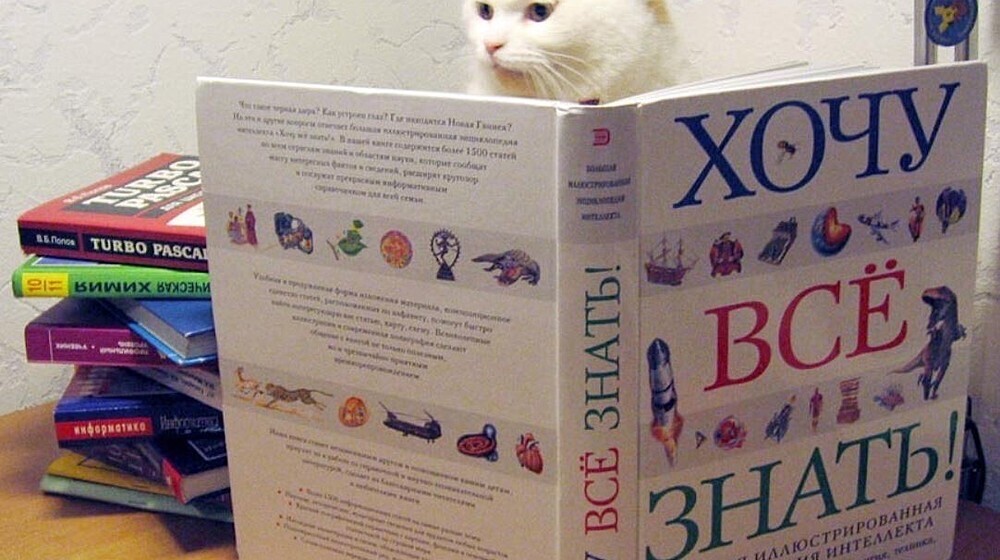 Нон-фикшн всех сортов