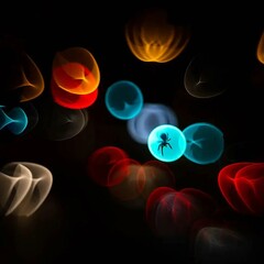 Жизнь полна сюрпризов