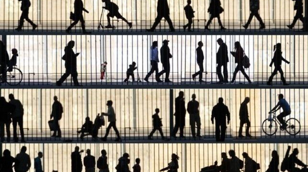 Социология